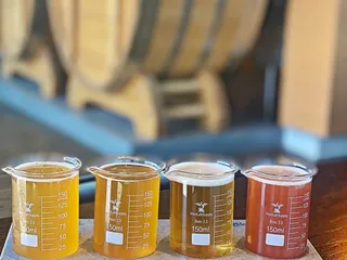 Beard Science Sour House