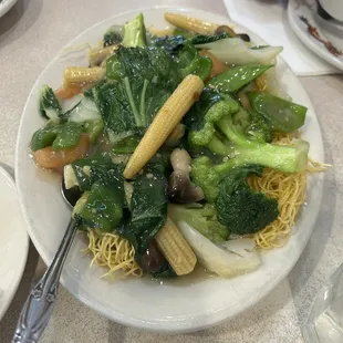 Pan fried crispy noodles with vegetables