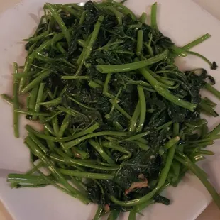 Stir Fried Egg Noodle