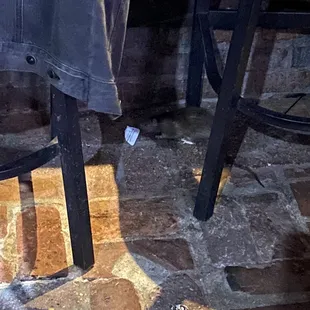 Rat running around the bar