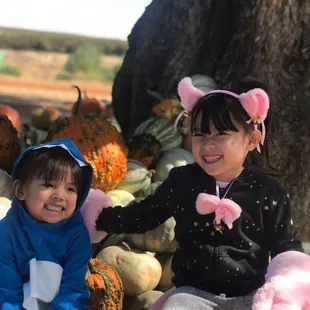 Picking our favorite pumpkins