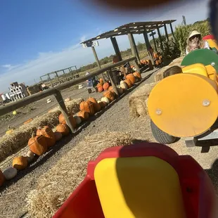 Barrel trail ride called Back 40