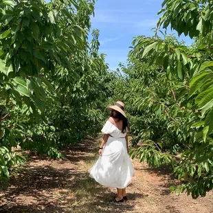 The cherry &quot;fields&quot;(?)