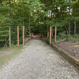 Path to the tasting area