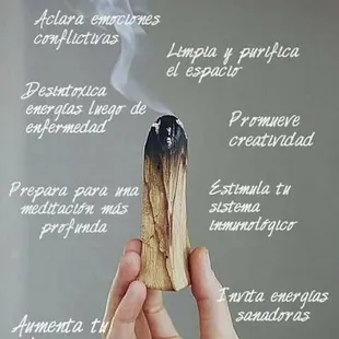 PALO SANTO