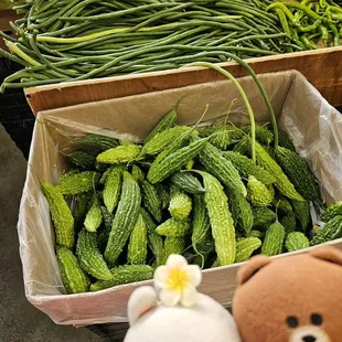 Beans and bitter melon