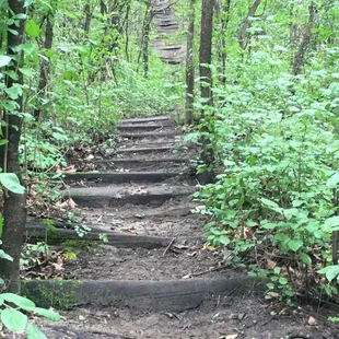 Not all trails are ez.