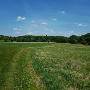 The backside of the ski-jump poking over the tree line