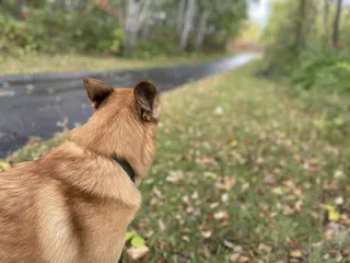 Elm Creek Park Reserve