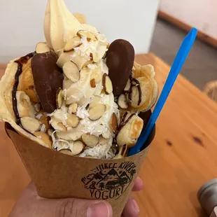 a hand holding a cone of ice cream