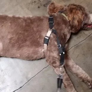 Another satisfied customer