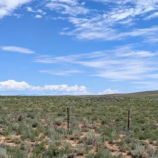 The desert dreams of rain...