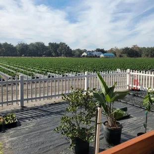 View from the high top seating area