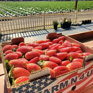 Sweet &amp; delicious half flat of strawberries