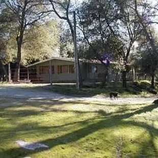 5 bed Dennison House on 15 acres