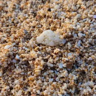 The gorgeous sand resembles mini pebbles!
