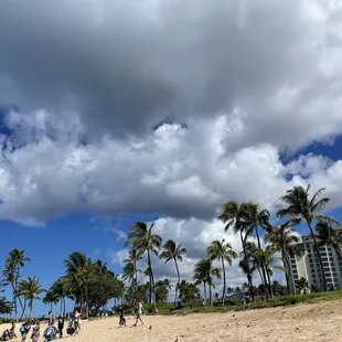people walking on the beach