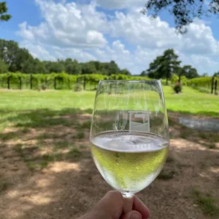 a hand holding a glass of wine