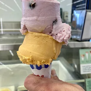 Black Cherry (top) and Pumpkin (bottom) on a Sugar Cone