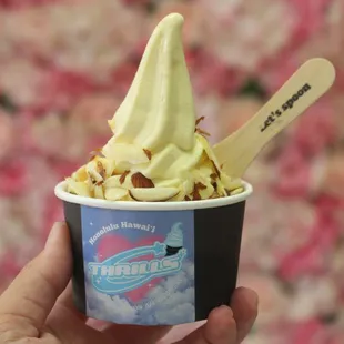 Japanese Pudding soft serve with almonds.