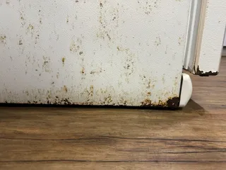 Natural Bridge State Resort Park