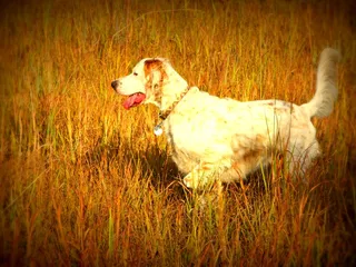 Vondra Veterinary Clinic