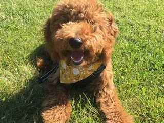 Porter Ridge Veterinary Clinic