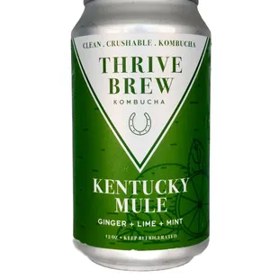 KENTUCKY MULE:
ginger + lime + mint + honey