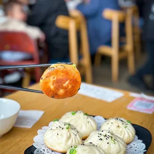 Pork Pan Fried Dumpling