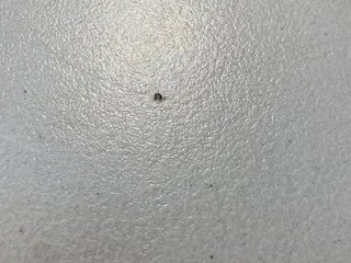 AirMaxx Trampoline Park