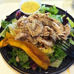 Chicken Salad
