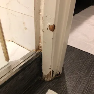 Water damage on bathroom door