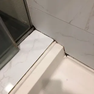 Mold in the bathroom