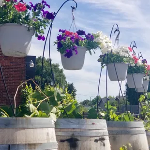 More like Thunderbird Cellars.... love the new wine barrel planters!