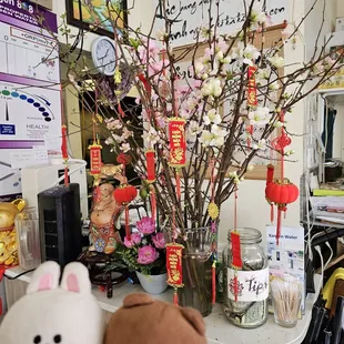 Happy Lunar New Year!