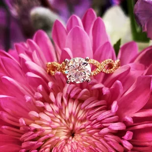 Braided engagement ring from Thurber Jewelers.