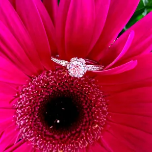 Floral inspired diamond engagement ring from Thurber Jewelers, Elk River&apos;s Local Jeweler Since 1946.