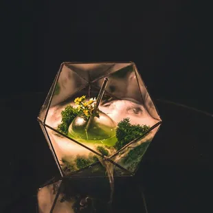 Dell&apos; Iris
Grey Goose Vodka, Pear, Maraschino, Oregano, Ginger