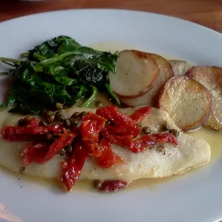 Piatti Petrole Unico Lunch