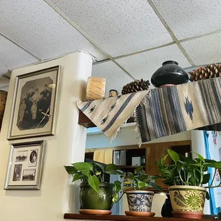 a variety of vases and plants