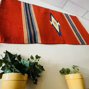 two potted plants and a rug