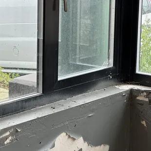 Rat Poop on Windowsill