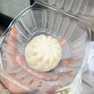 Chicken Dumplings
