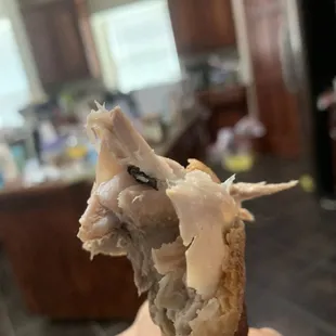 Fly stuck on the Beijing duck