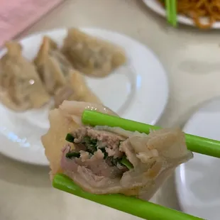 a person holding chopsticks over a dumpling