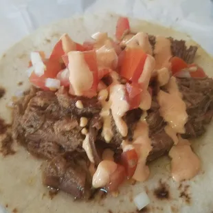Brisket Taco