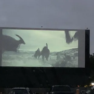 Original screen is painted black on bottom and sides.