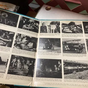 Julie Andrews vinyl record