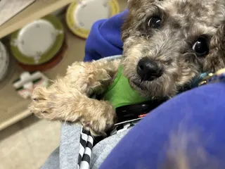 Wayside Christian Mission Bargain Center