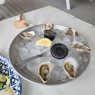 1/2 dozen oysters